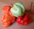 variete de piment